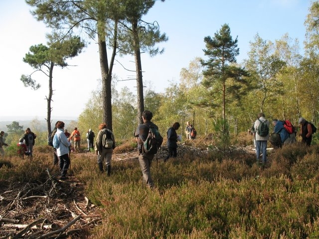 2007 10 Bois de Rochefort 11